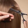 Professional Hair Cutting Scissors Set